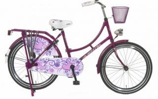 l popal omafiets paars om paars